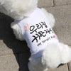 Dog/Cat Hangul Outfit - Lovely Kids