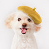 Beret Dog and Cat Hat