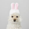 Bunny ears Dog and Cat Hat