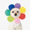 Cute Pet Puppy, Dog, Cat Hat Flower