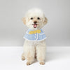 Cute Cape Pet Puppy, Dog Cat
